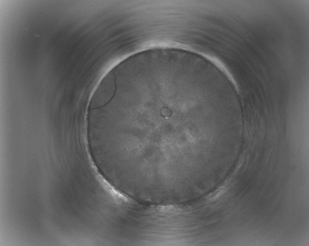 X0000060810903200511101450