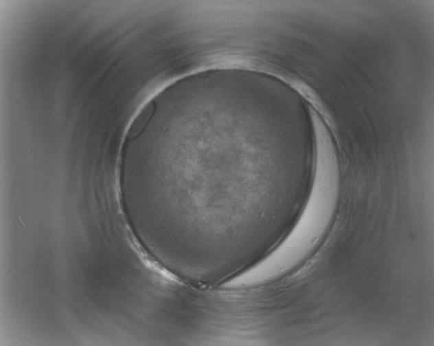 X0000060810904200511101450