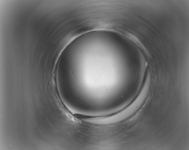 X0000060810908200511101450