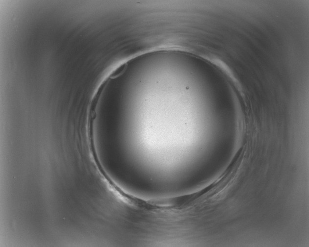 X0000060810910200511101449