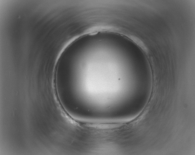 X0000060810912200511101449