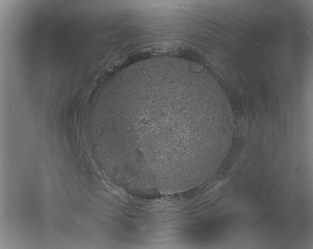 X0000060810913200511101449