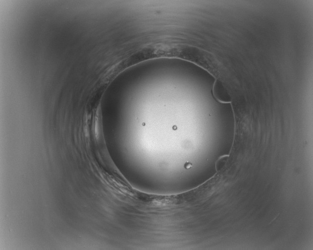 X0000060810914200511101449