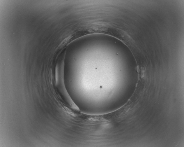 X0000060810915200511101449