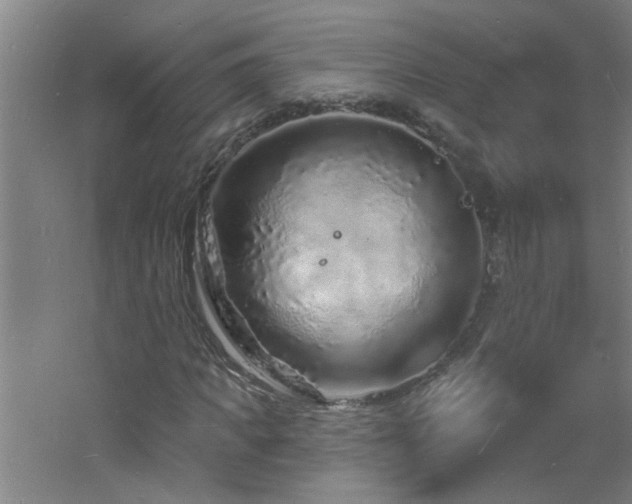 X0000060810917200511101449