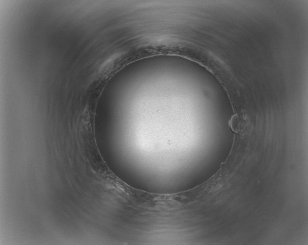 X0000060810918200511101449