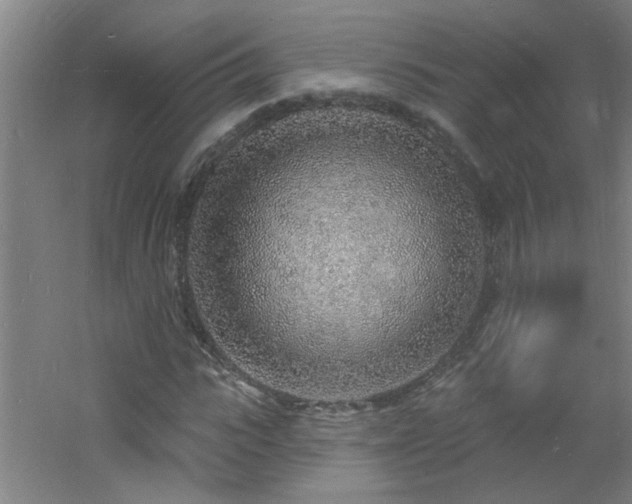 X0000060810919200511101449