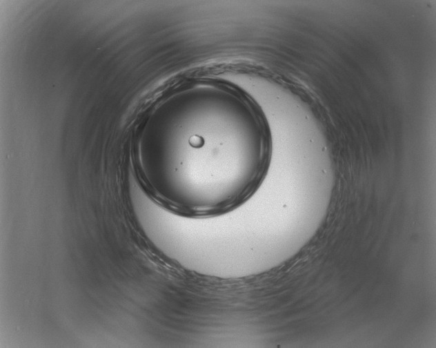 X0000060810920200511101449