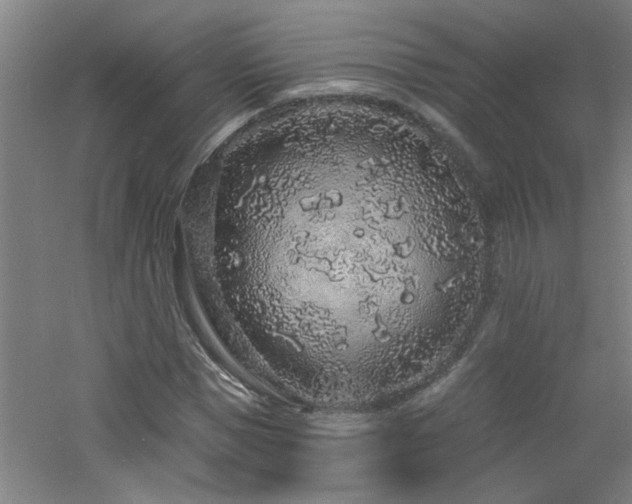 X0000060810921200511101449