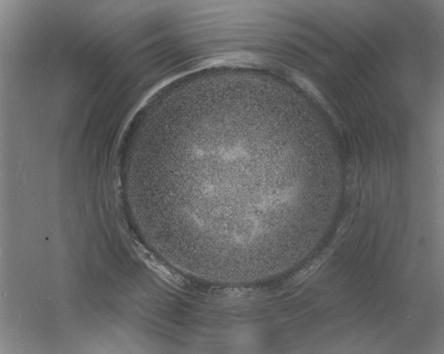 X0000060810923200511101449