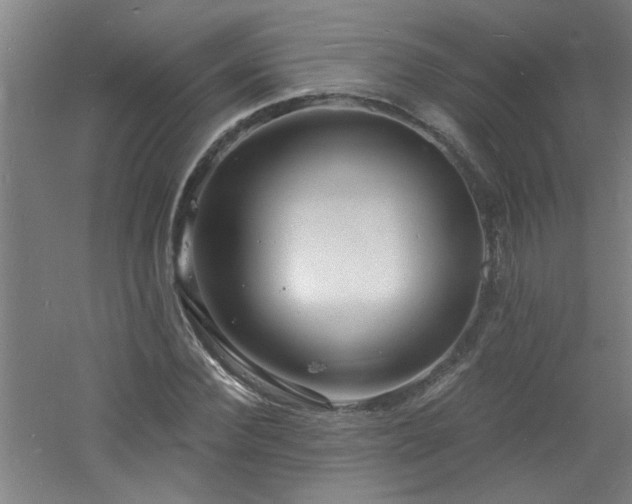 X0000060810924200511101449