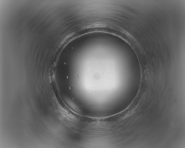 X0000060810929200511101449