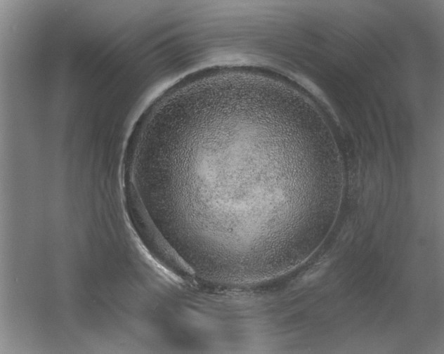 X0000060810935200511101449