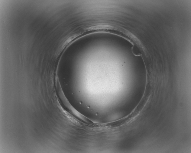 X0000060810937200511101449