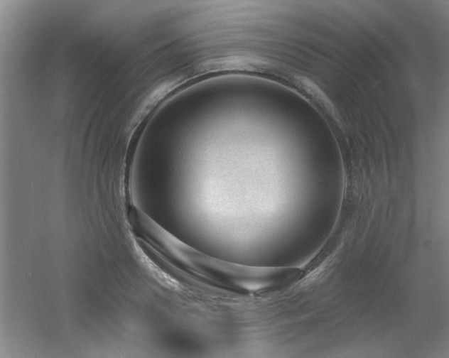 X0000060810938200511101449