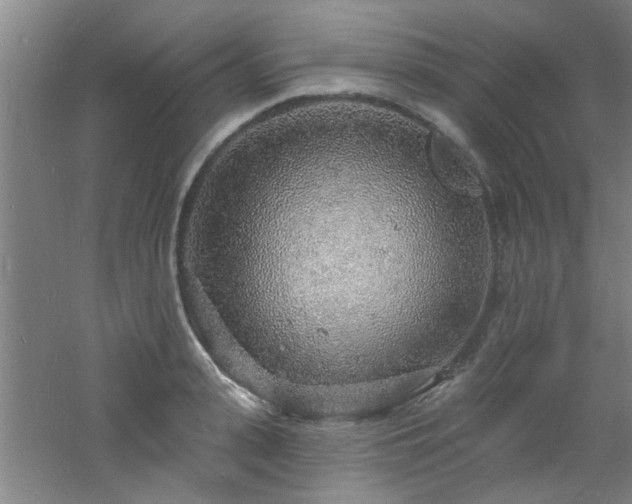 X0000060810943200511101449