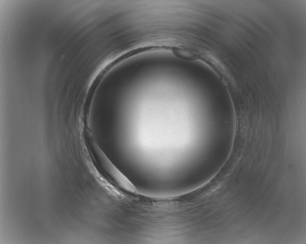 X0000060810944200511101449