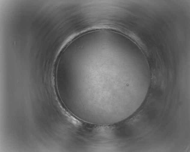 X0000060810950200511101449