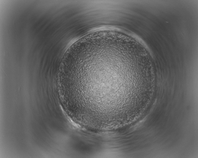 X0000060810953200511101449