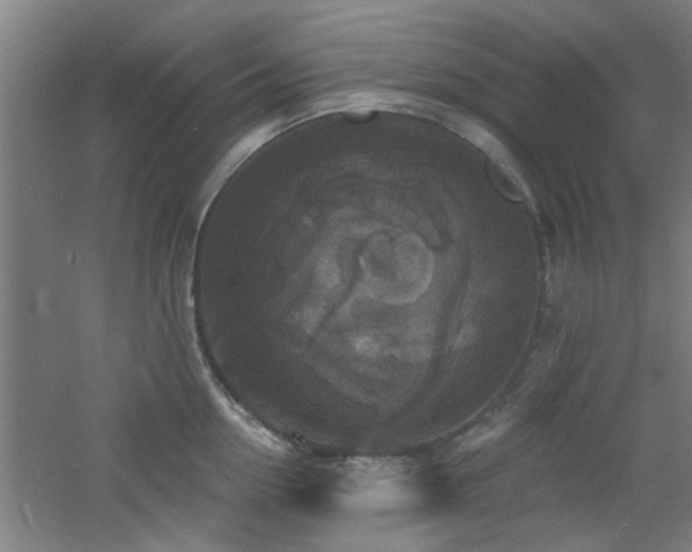 X0000060810954200511101449