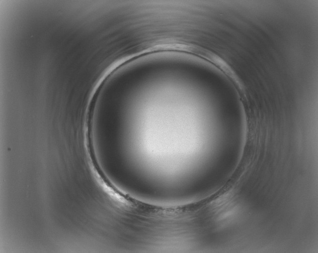 X0000060810955200511101449