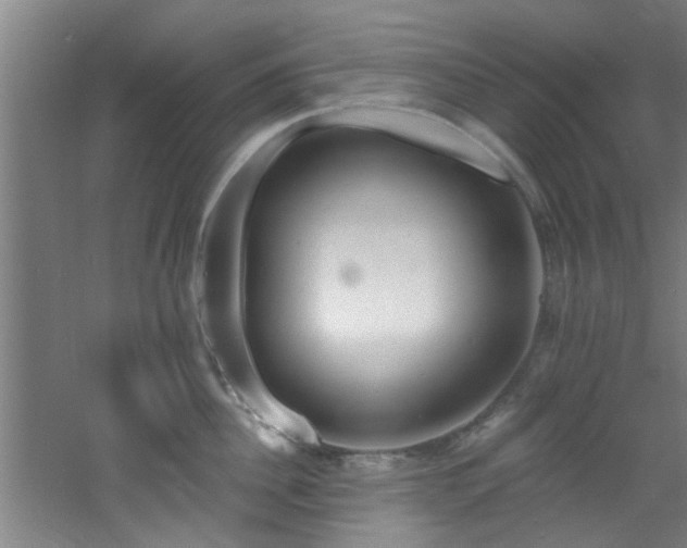 X0000060810956200511101449