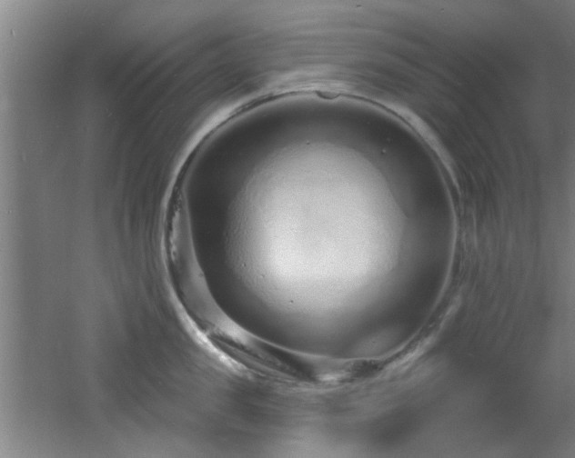 X0000060810957200511101449