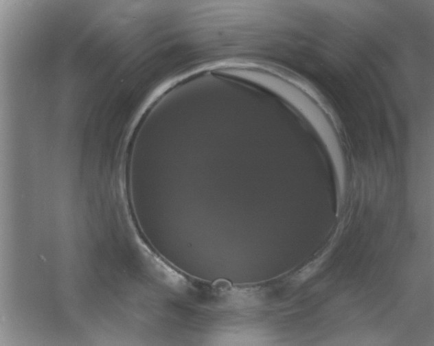 X0000060810958200511101449