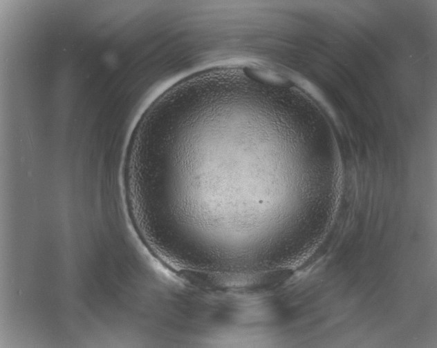 X0000060810959200511101449