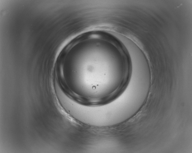 X0000060810960200511101449