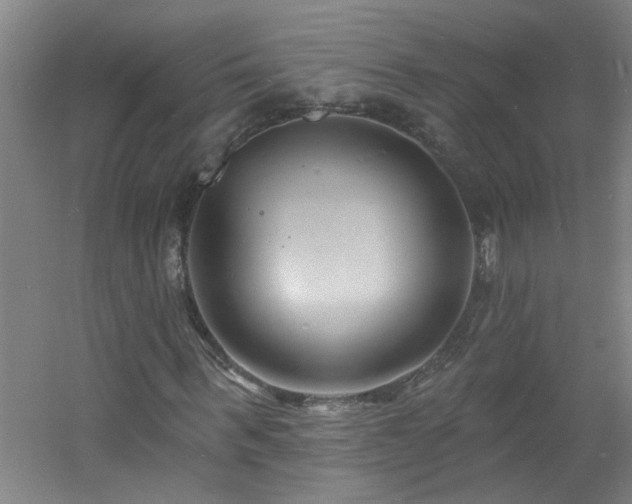 X0000060810963200511101449