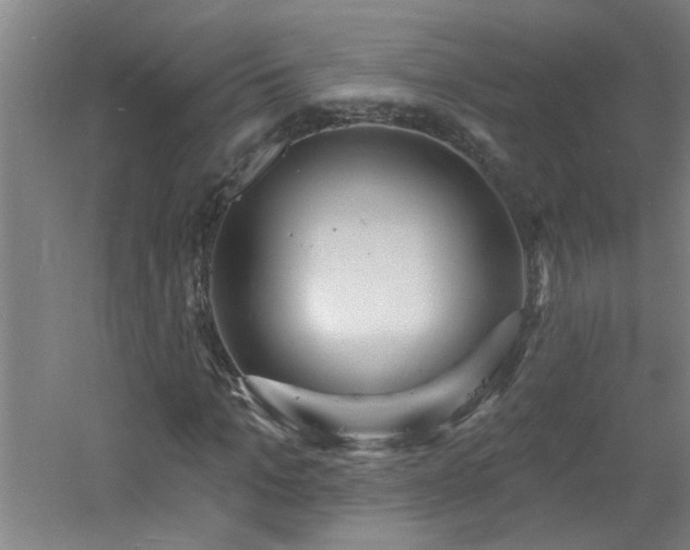 X0000060810965200511101449