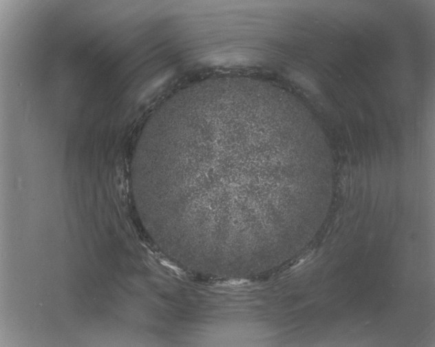 X0000060810966200511101449