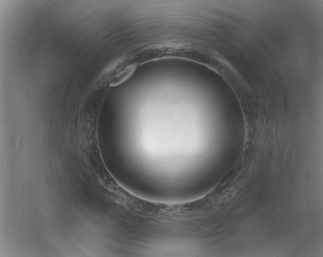 X0000060810967200511101449