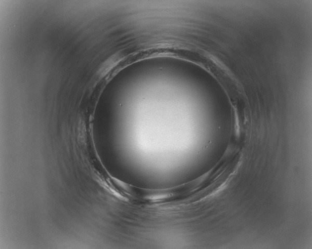 X0000060810969200511101448