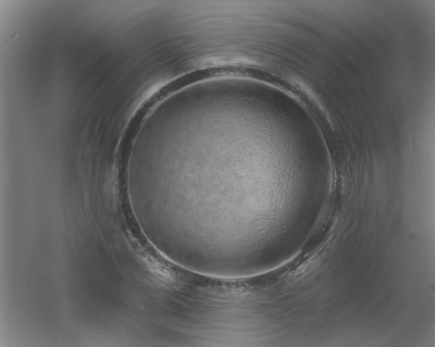 X0000060810975200511101448