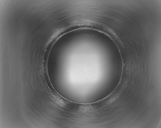 X0000060810978200511101448