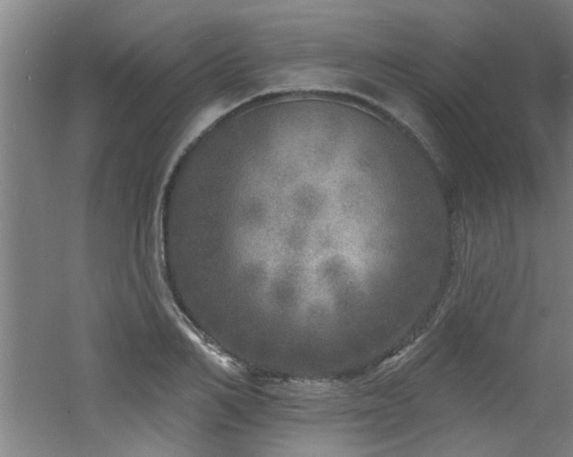 X0000060810982200511101448