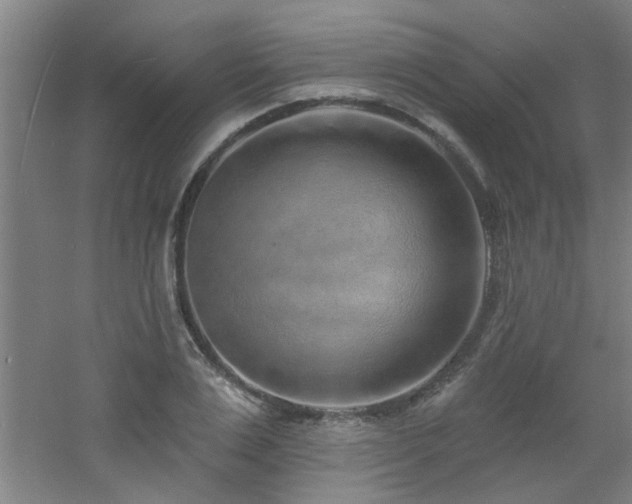 X0000060810983200511101448