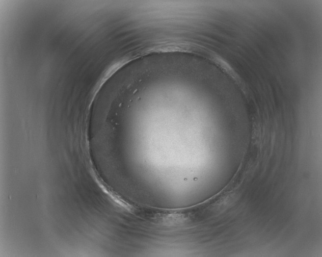 X0000060810986200511101448