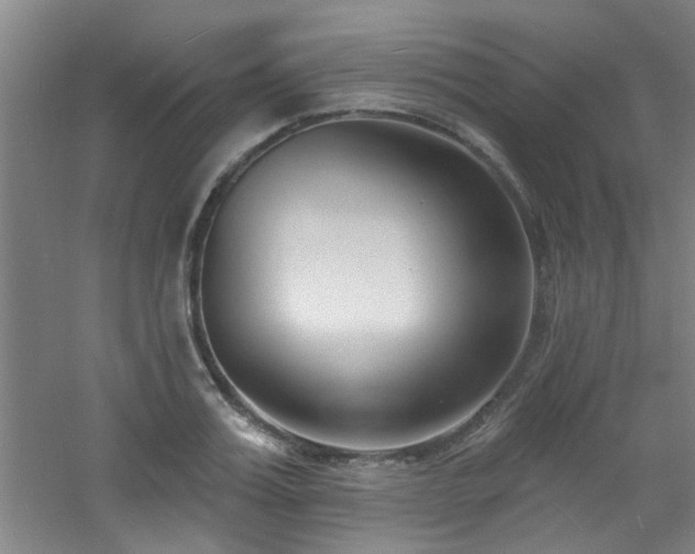 X0000060810987200511101448