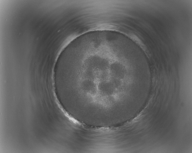 X0000060810990200511101448