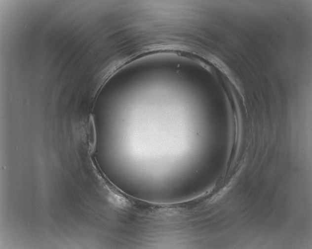 X0000060810993200511101448