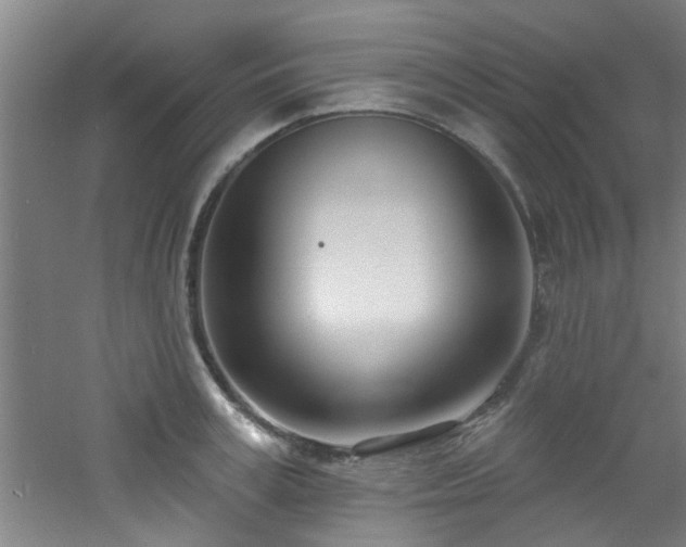 X0000060810995200511101448