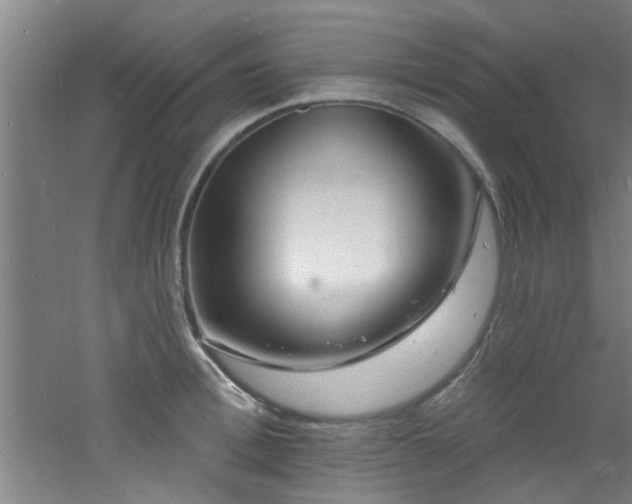 X0000060810996200511101448