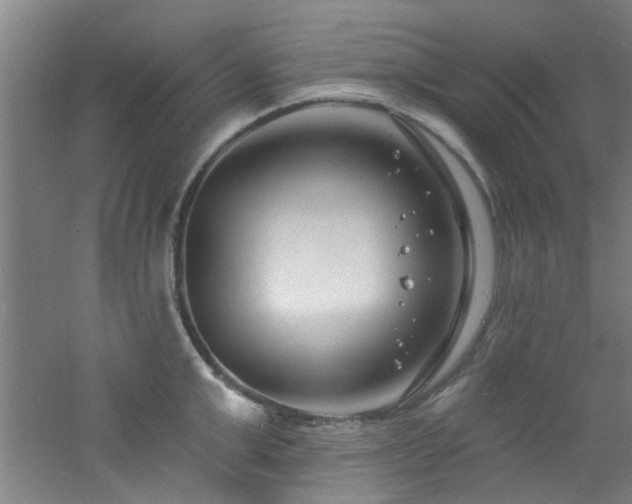 X0000060810999200511101448