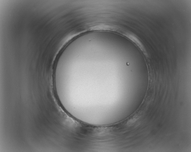 X0000060811000200511101448