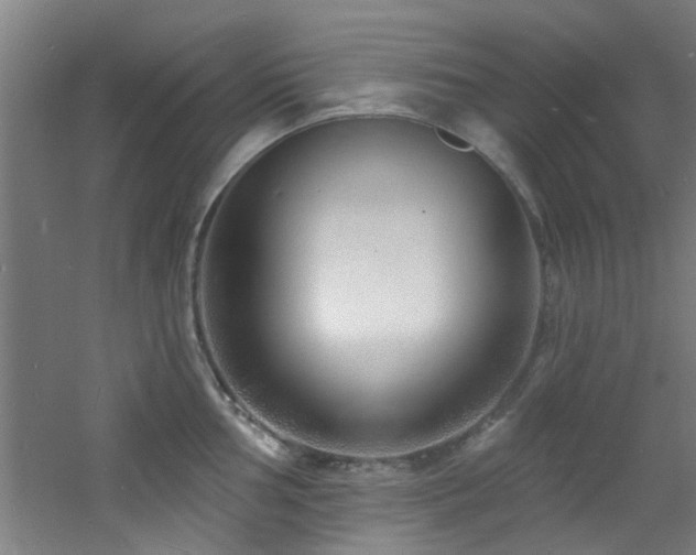 X0000060811002200511101448