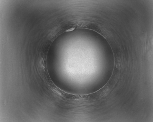 X0000060811010200511101447