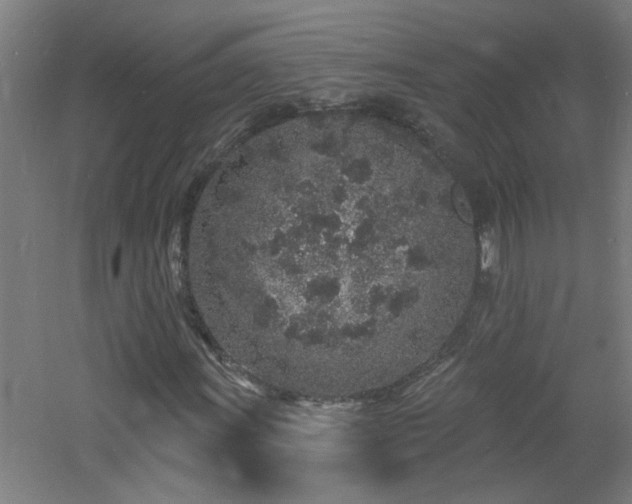 X0000060811011200511101447